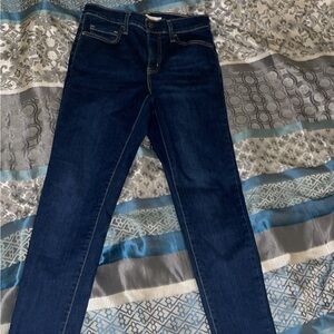 Levi's Blue Skinny Jeans Classic Style